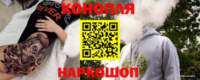 прущие крисы Гатчина