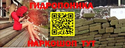 прущие крисы Гатчина