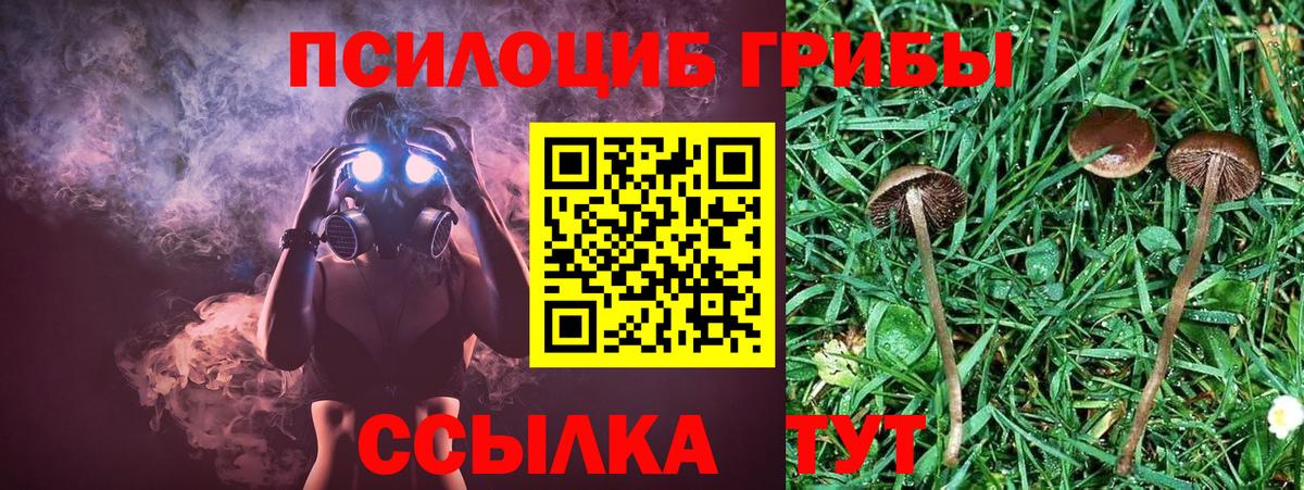Псилоцибиновые грибы MAGIC MUSHROOMS Белгород