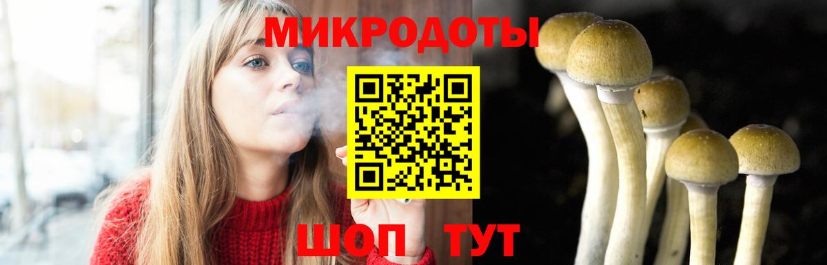 Белгород  Галлюциногенные грибы Magic Shrooms  Псилоцибиновые грибы мицелий  как найти закладки  Вход с VPN 